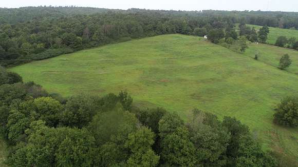 20 Acres of Land for Sale in Blountsville, Alabama