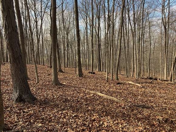 8 Acres of Recreational Land for Sale in Frazeysburg, Ohio