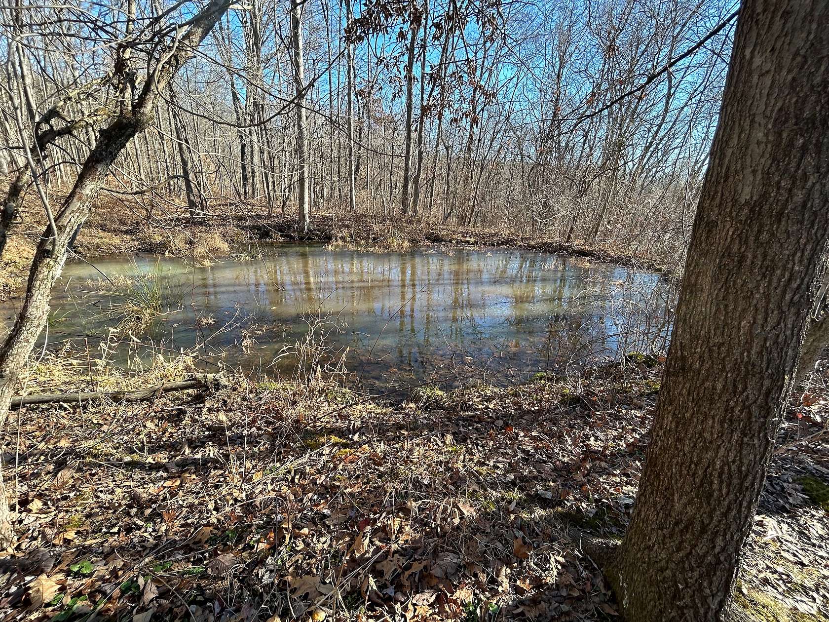 5 Acres of Recreational Land for Sale in Frazeysburg, Ohio