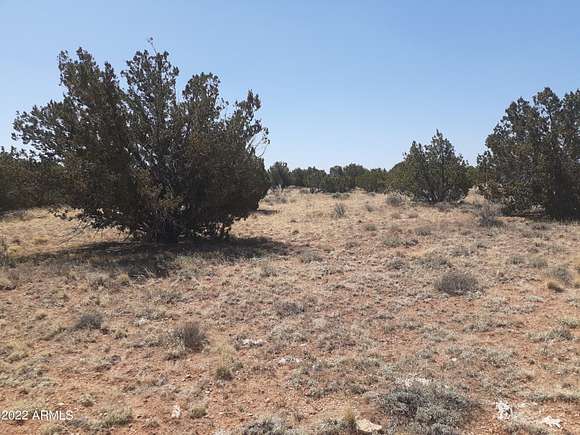 20.7 Acres of Recreational Land for Sale in Heber, Arizona