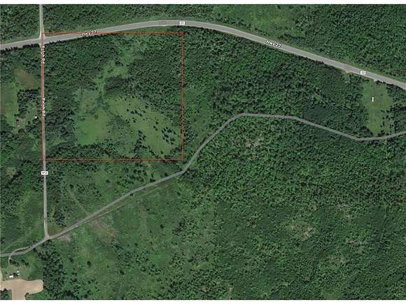 40.8 Acres of Recreational Land for Sale in Angora Township, Minnesota
