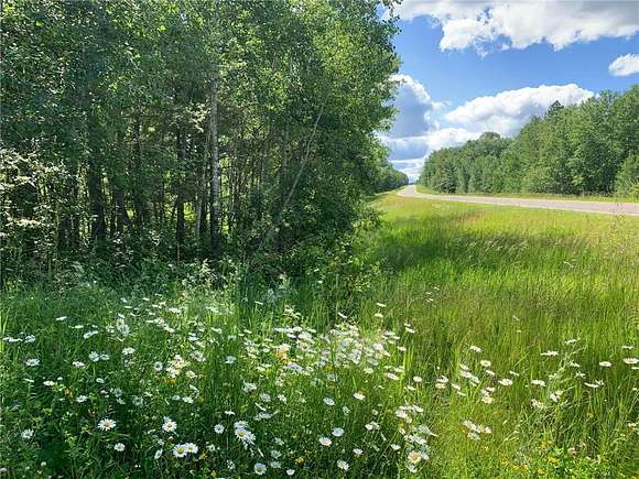 100.36 Acres of Recreational Land for Sale in Hackensack, Minnesota