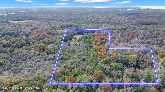31.1 Acres of Agricultural Land for Sale in Hernando Beach, Florida