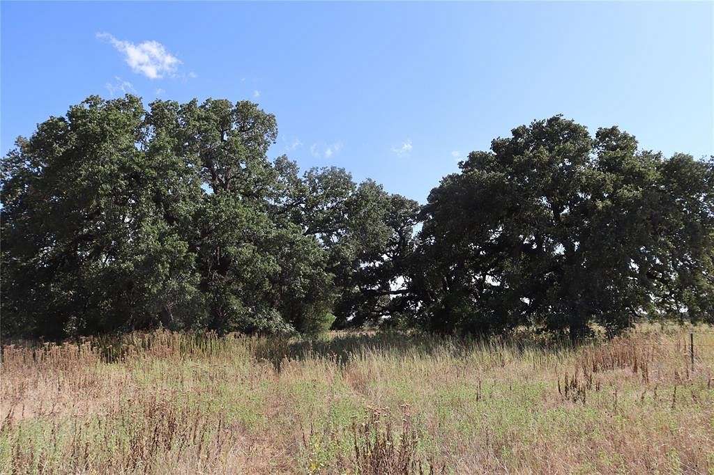 40 Acres of Land for Sale in Rising Star, Texas