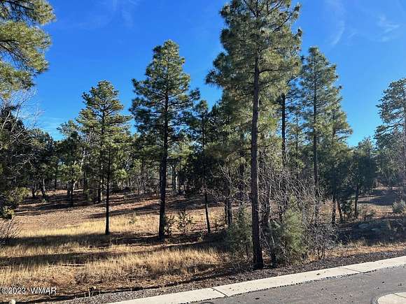 0.42 Acres of Residential Land for Sale in Show Low, Arizona