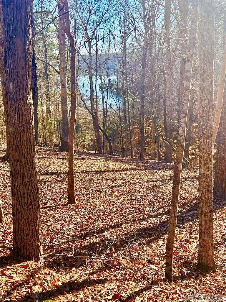 1 Acre of Residential Land for Sale in Bracey, Virginia