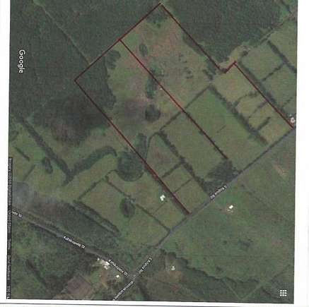 45.8 Acres of Agricultural Land for Sale in Volcano, Hawaii