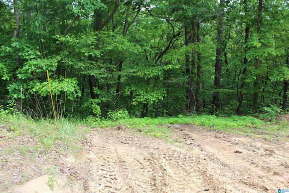 0.5 Acres of Land for Sale in Lakeview, Alabama