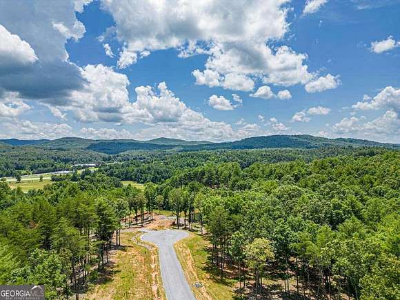 0.96 Acres of Residential Land for Sale in Morganton, Georgia