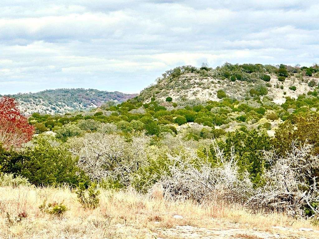 180 Acres of Land for Sale in Hilda, Texas