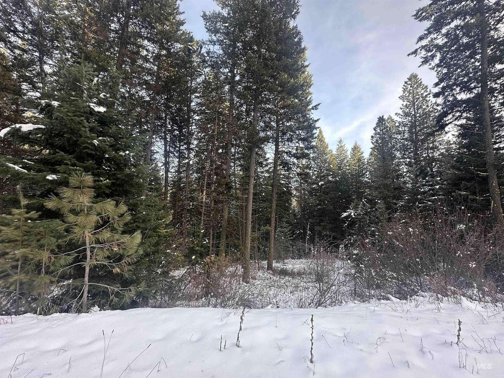 1.3 Acres of Residential Land for Sale in New Meadows, Idaho