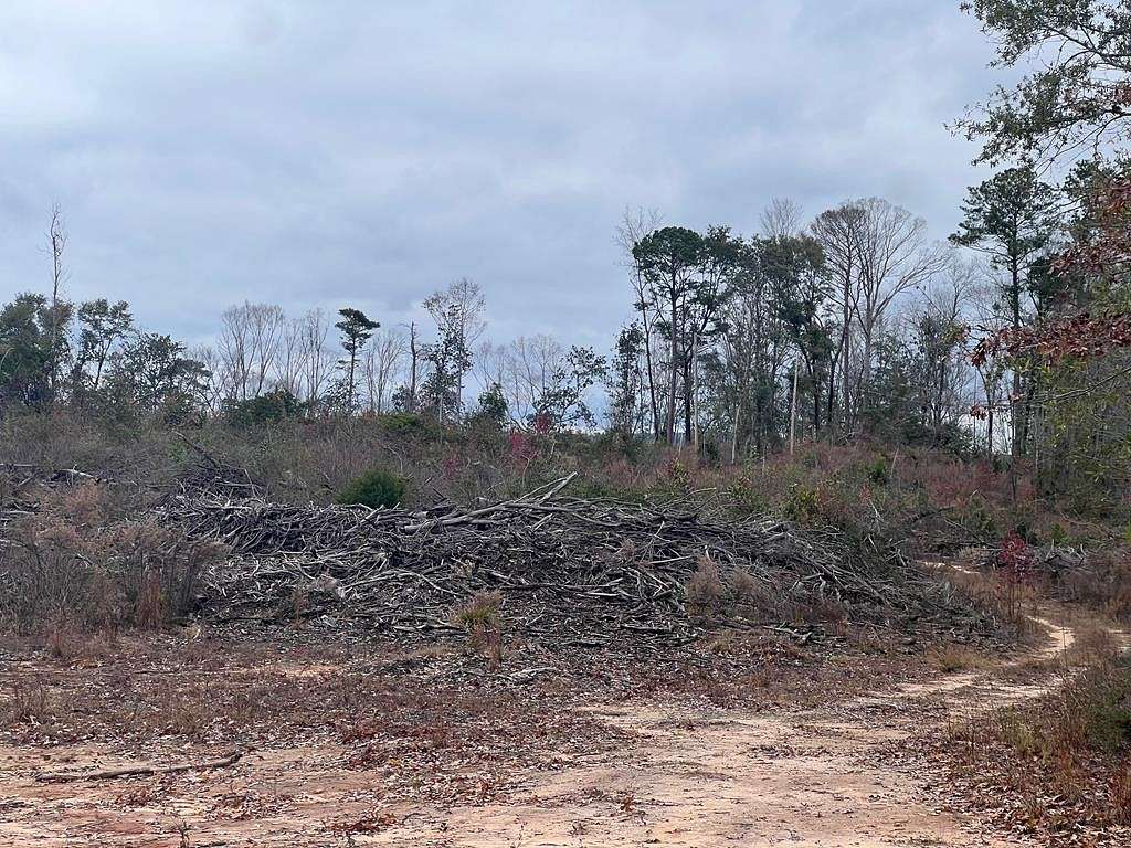 10 Acres of Residential Land for Sale in Andalusia, Alabama