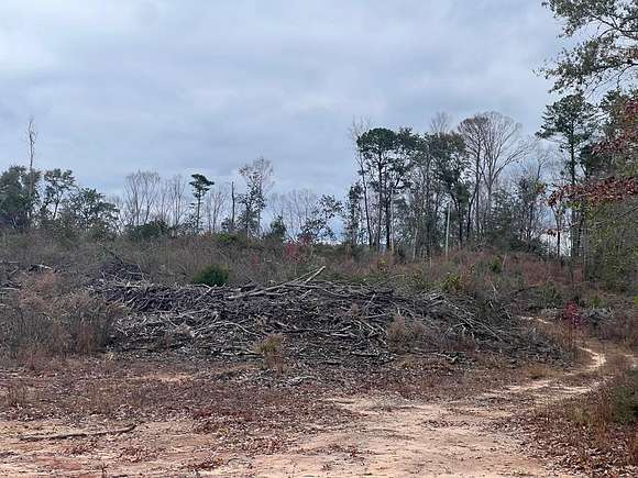 10 Acres of Residential Land for Sale in Andalusia, Alabama