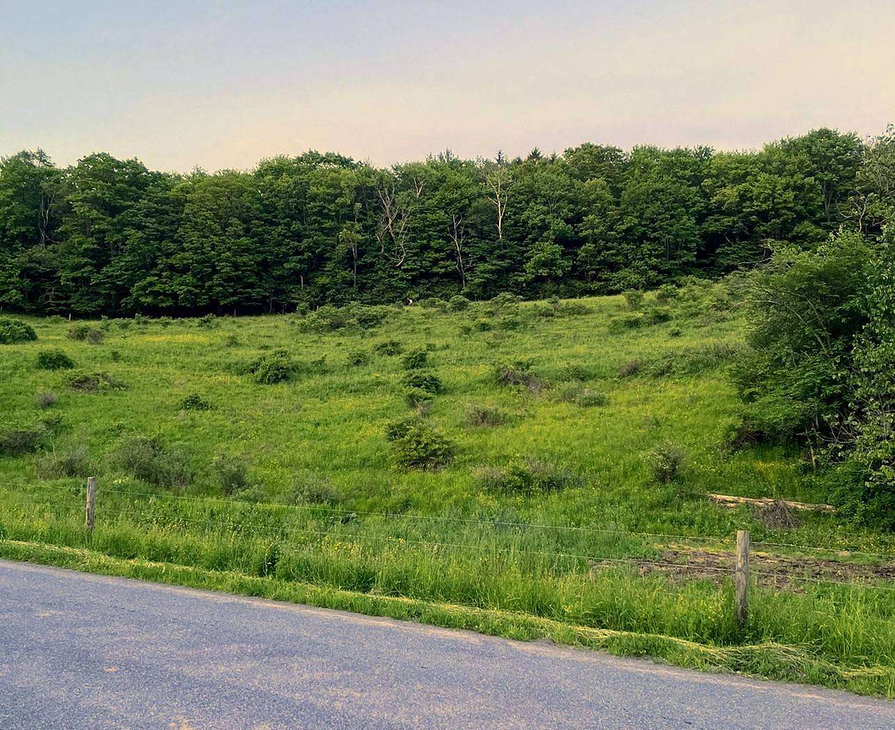 6 Acres of Residential Land for Sale in Unadilla, New York