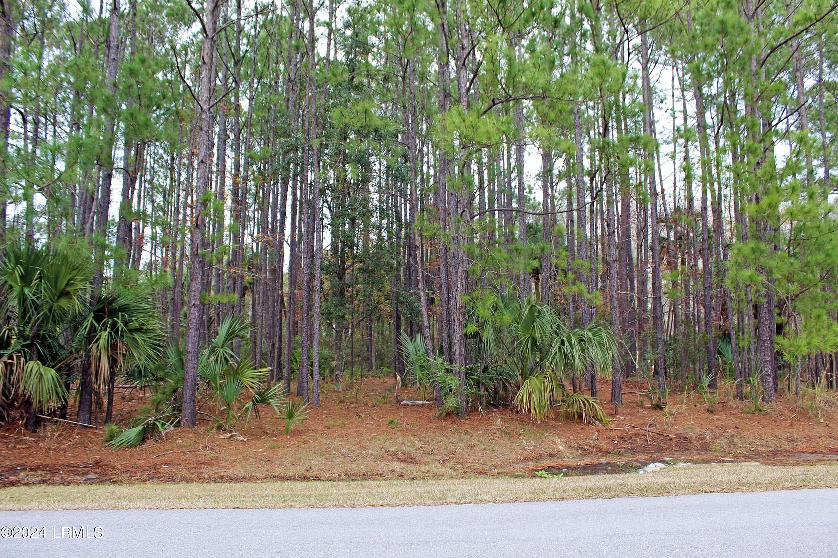 0.52 Acres of Residential Land for Sale in Okatie, South Carolina