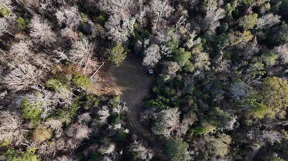 368 Acres of Recreational Land for Sale in Lucedale, Mississippi