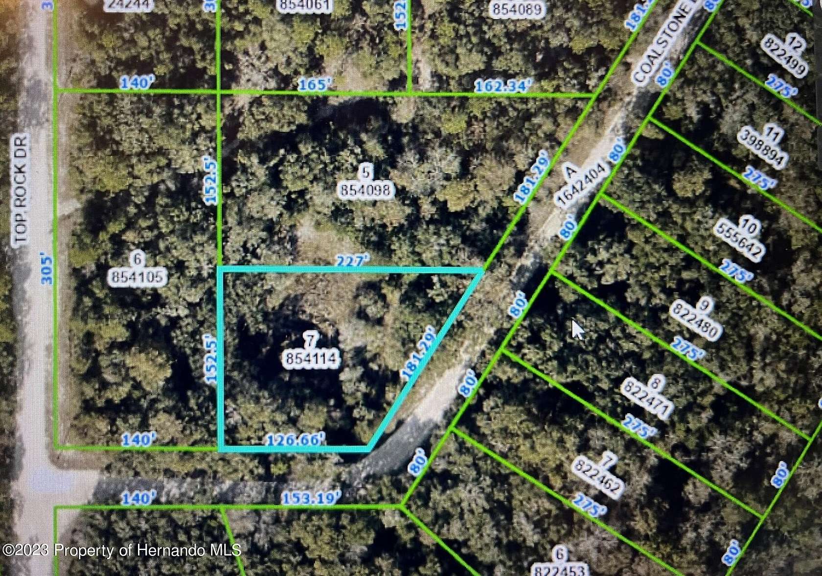 0.7 Acres of Residential Land for Sale in Webster, Florida