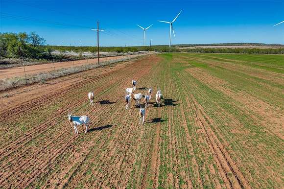 320 Acres of Recreational Land & Farm for Sale in Roby, Texas