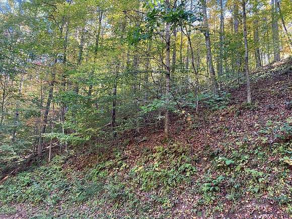 2.1 Acres of Land for Sale in Butler, Tennessee