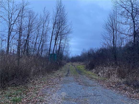 74 Acres of Recreational Land for Sale in Andover, Ohio