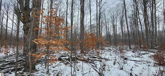 19.7 Acres of Recreational Land for Sale in Mancelona, Michigan