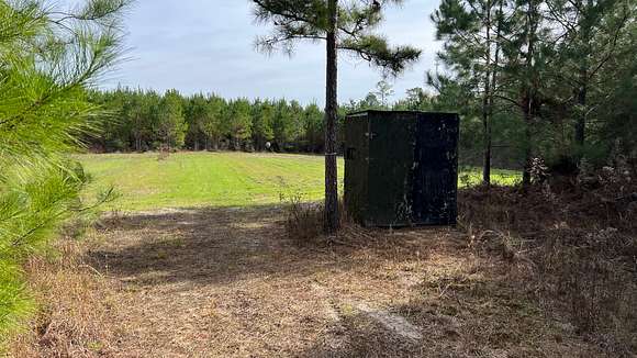 200 Acres of Recreational Land for Sale in McLain, Mississippi