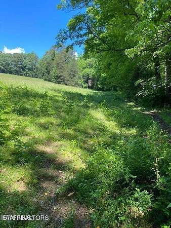 5 Acres of Land for Sale in La Follette, Tennessee