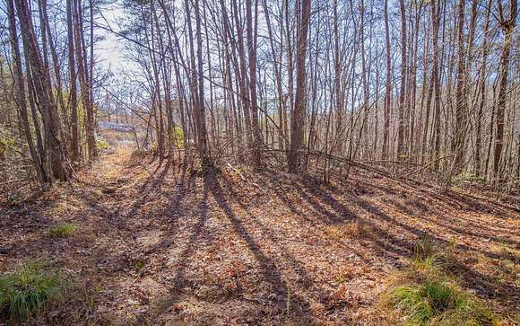 4 Acres of Land for Sale in McCaysville, Georgia