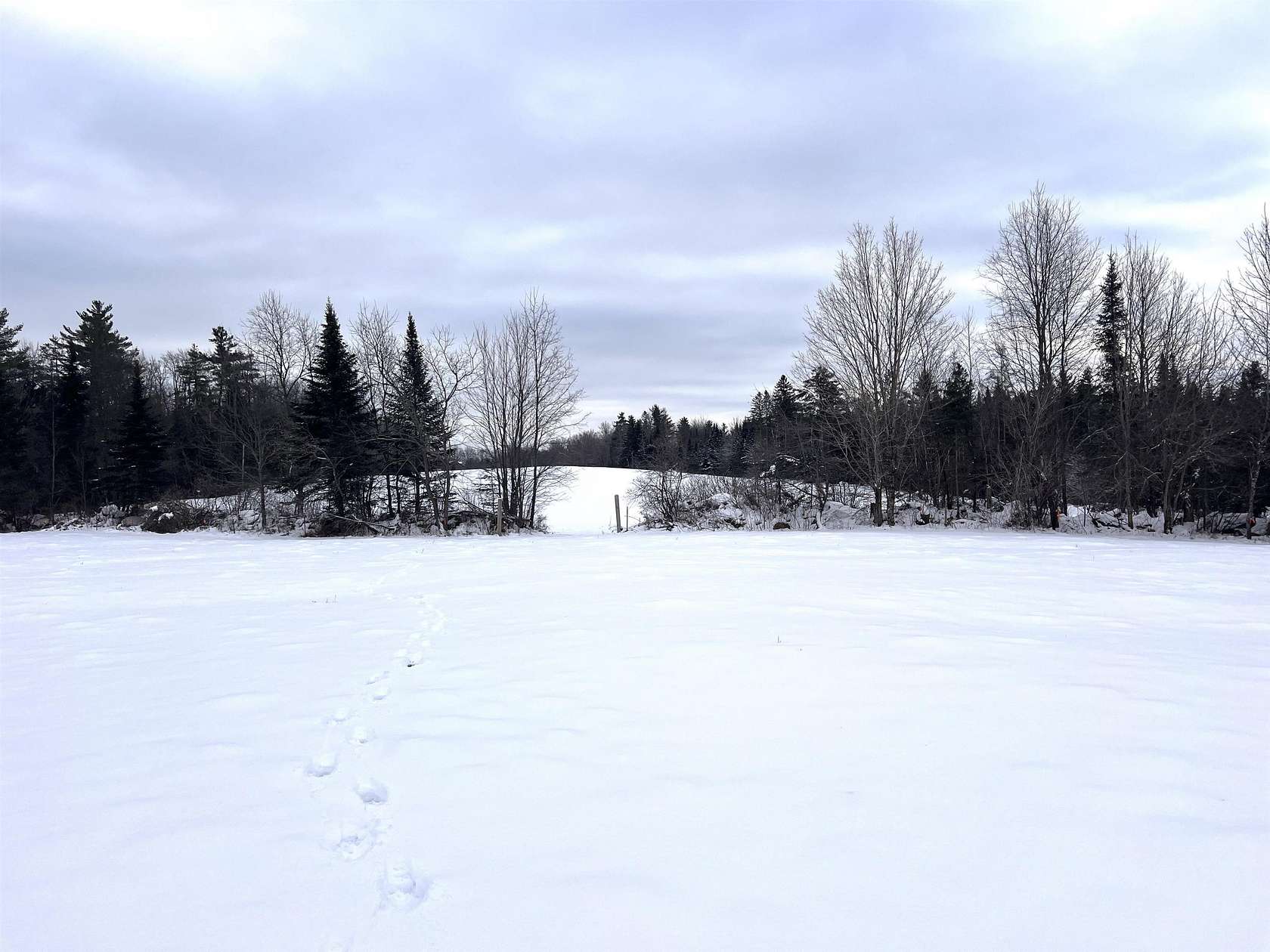 5.9 Acres of Residential Land for Sale in Lunenburg, Vermont