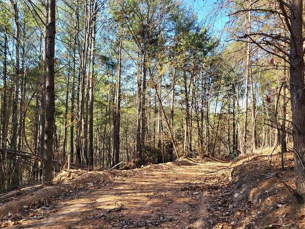 86 Acres of Land for Sale in Chatsworth, Georgia
