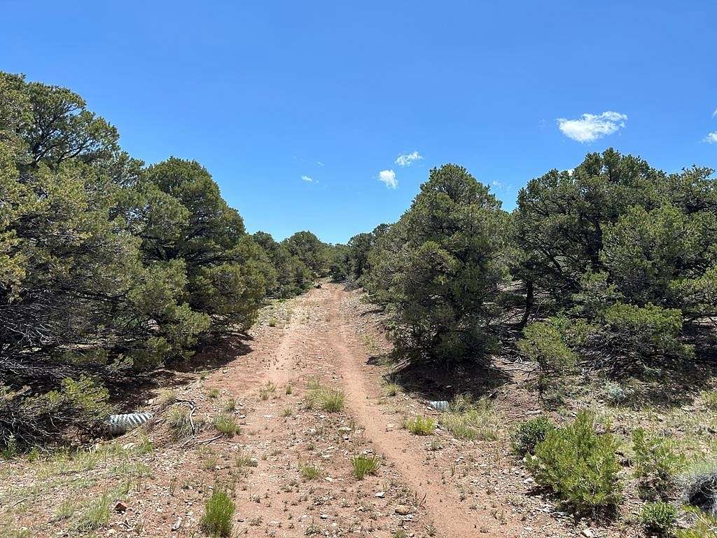 35.3 Acres of Recreational Land for Sale in Gardner, Colorado