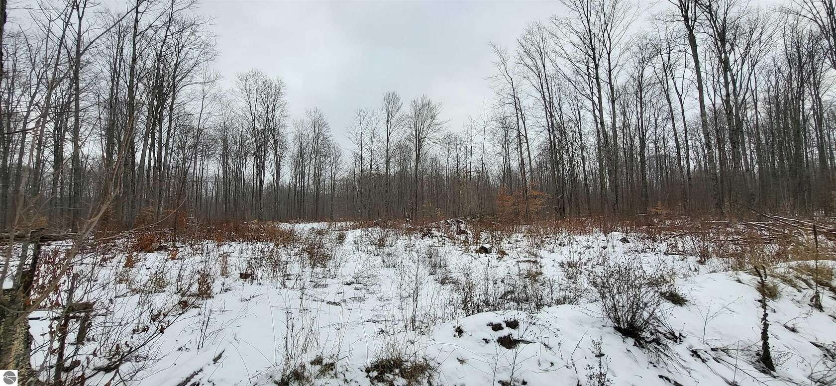 39.6 Acres of Recreational Land for Sale in Mancelona, Michigan