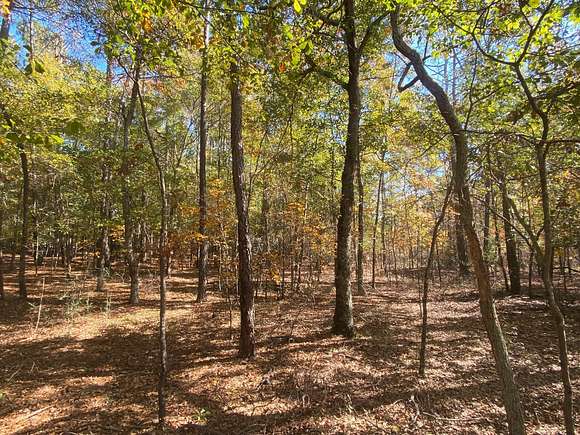10 Acres of Land for Sale in Aiken, South Carolina