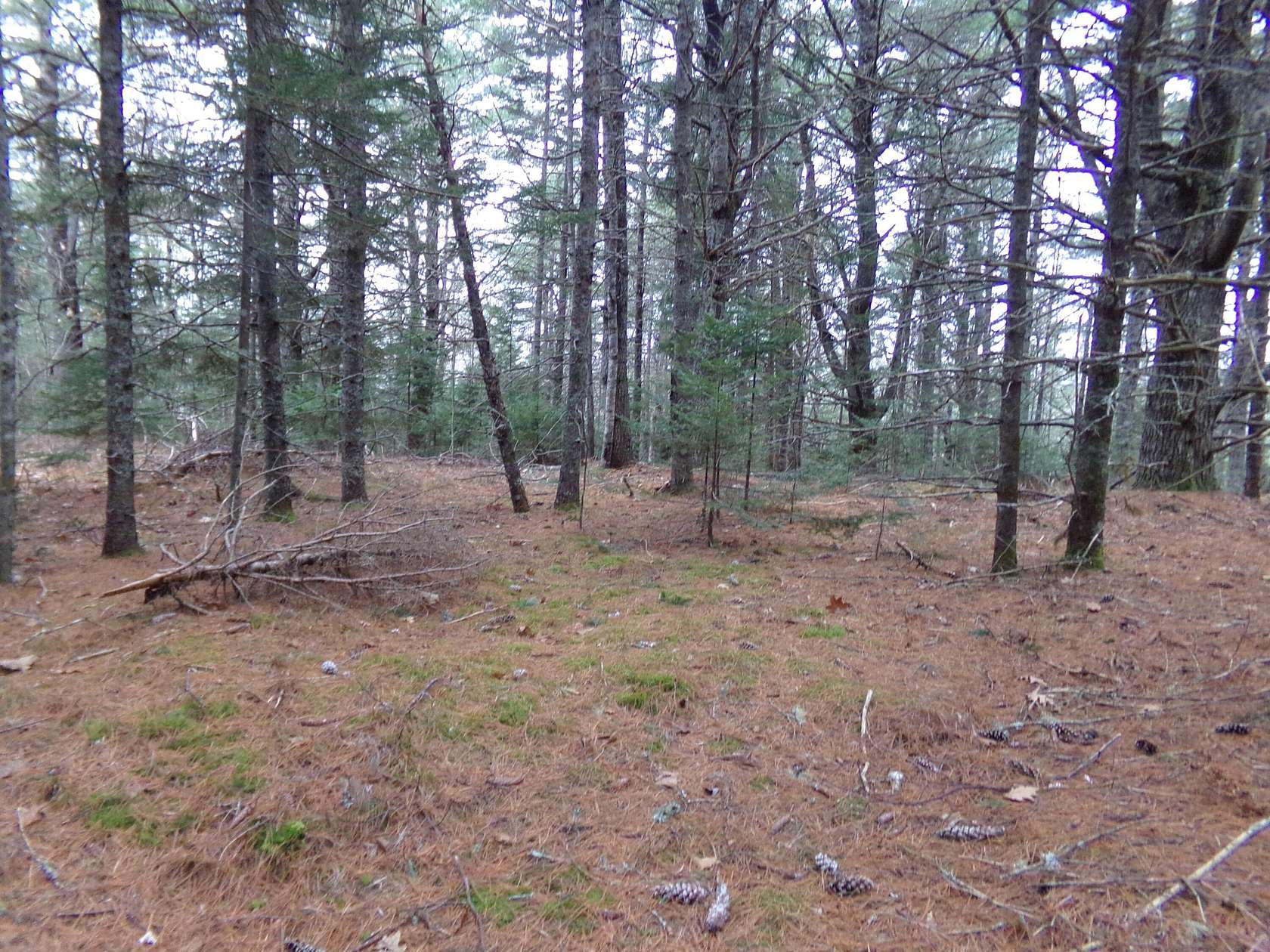 1.7 Acres of Residential Land for Sale in Steuben, Maine