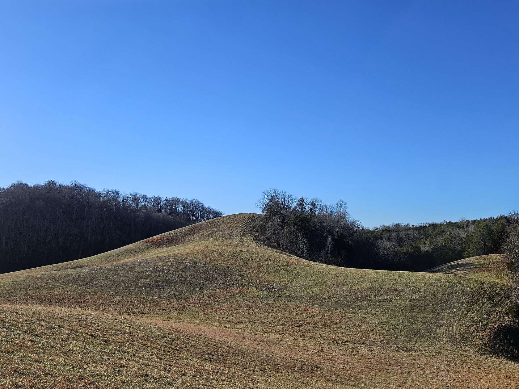 29.69 Acres of Land for Sale in Greeneville, Tennessee