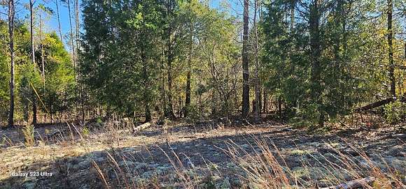 1.5 Acres of Residential Land for Sale in Georgetown, Georgia
