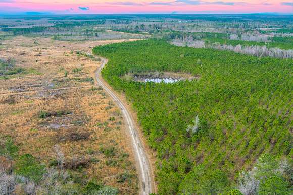 728 Acres of Land with Home for Sale in Mayo, Florida