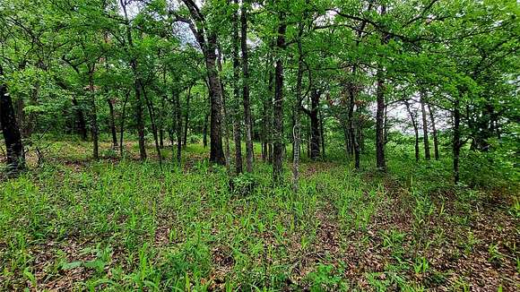 29.44 Acres of Recreational Land & Farm for Sale in Weleetka, Oklahoma