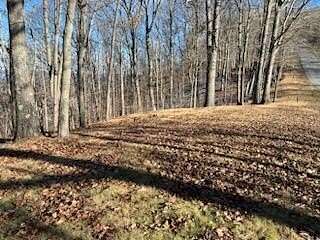 2 Acres of Residential Land for Sale in Caldwell, West Virginia