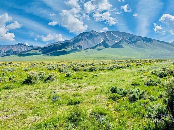 40 Acres of Land with Home for Sale in Mackay, Idaho