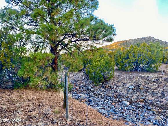 3 Acres of Residential Land for Sale in Vernon, Arizona