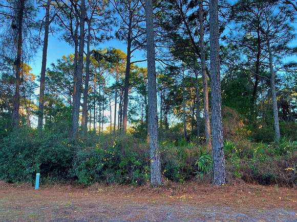 0.14 Acres of Residential Land for Sale in Carrabelle, Florida