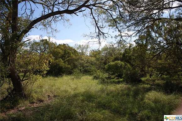 126 Acres of Agricultural Land for Sale in Sinton, Texas