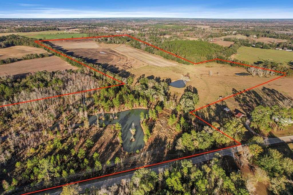 82.2 Acres of Agricultural Land for Sale in Slocomb, Alabama