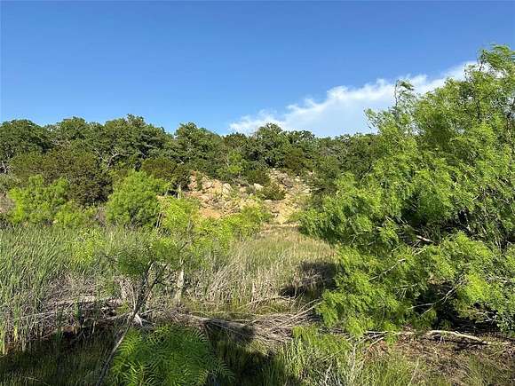 74.6 Acres of Recreational Land for Sale in Brownwood, Texas