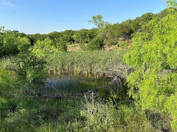 74.56 Acres of Recreational Land for Sale in Brownwood, Texas