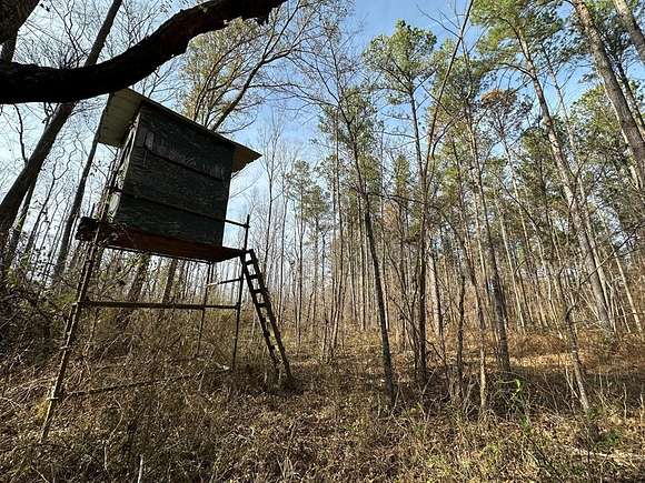 81 Acres of Recreational Land for Sale in Terry, Mississippi