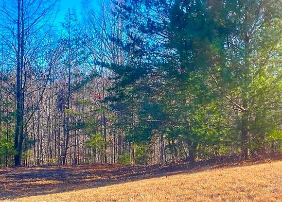 3.2 Acres of Residential Land for Sale in Boomer, North Carolina