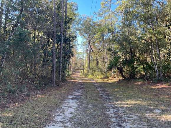 2.5 Acres of Residential Land for Sale in Sopchoppy, Florida