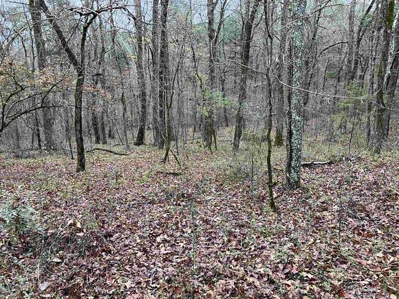 11.1 Acres of Land for Sale in Clarksville, Arkansas